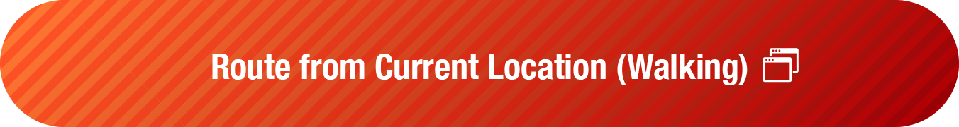 Route from Current Location (Walking)