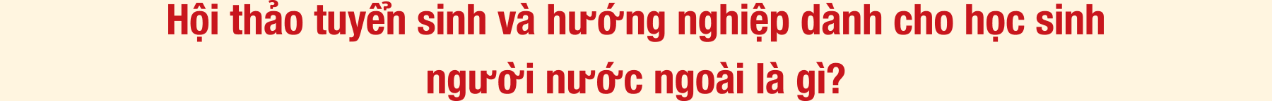 Hội thảo tuyển sinh và hướng nghiệp dành cho học sinh người nước ngoài là gì?
